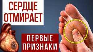 12 Признаков того, что Ваше СЕРДЦЕ ОТМИРАЕТ! 90% даже НЕ Догадываются…