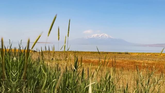 7 знакова да те неко жели, али то скрива | Carl Jung смотреть онлайн