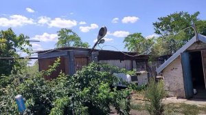 Очень грустно. Уже скучаем. Жизнь на пенсии.