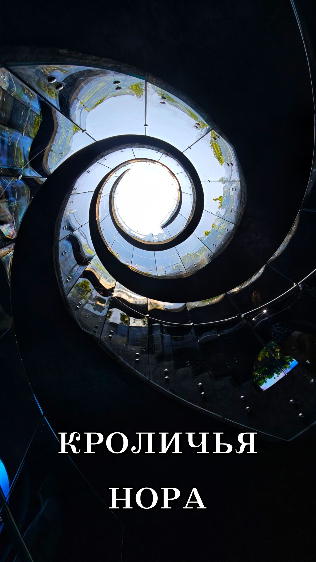 Кроличья нора, парк Галицкого Краснодар 2025 смотреть онлайн