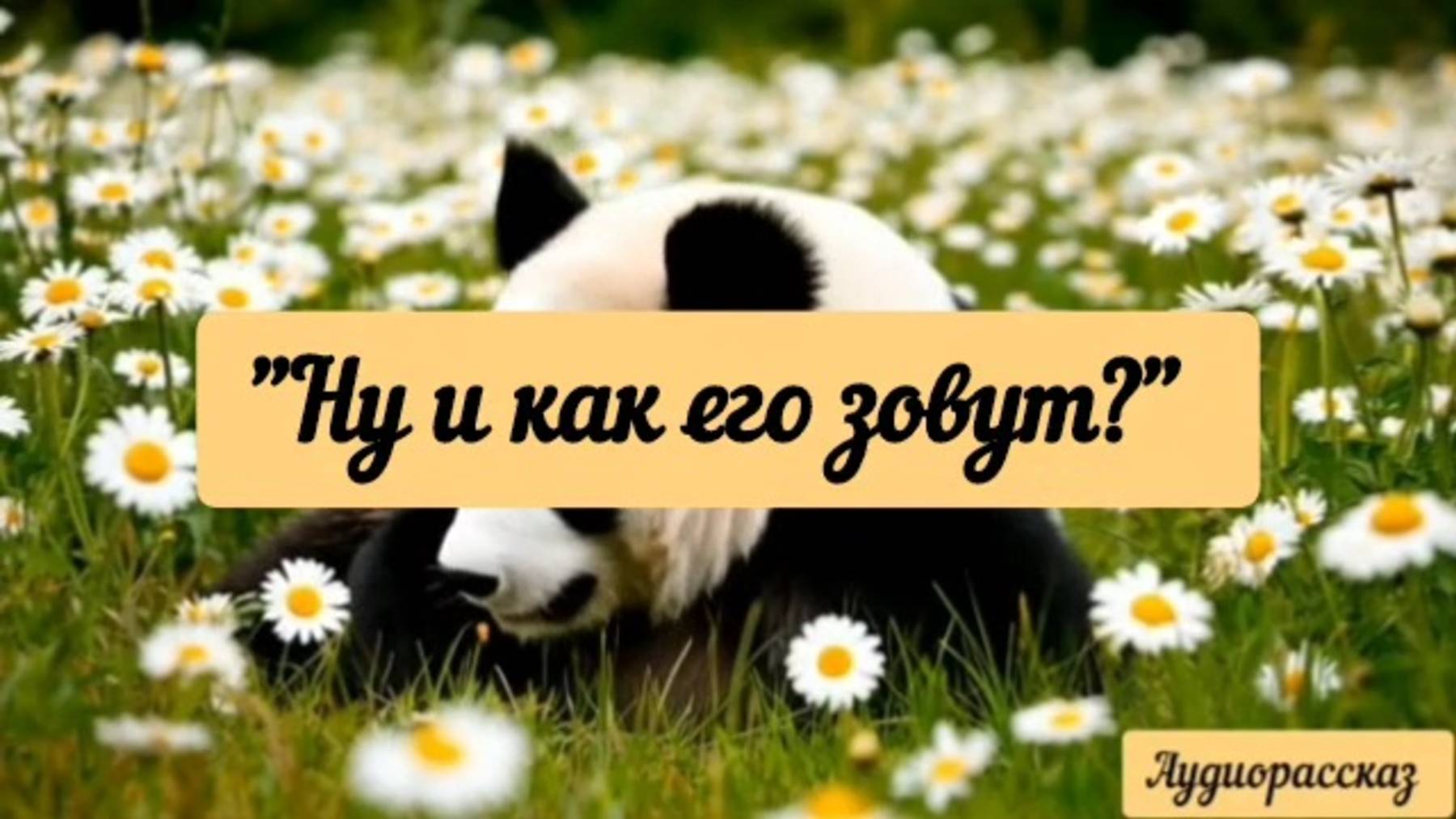 А ведь такое не лечится.