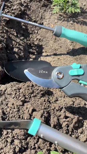 Какие работы можно проводить летом в саду смотреть онлайн