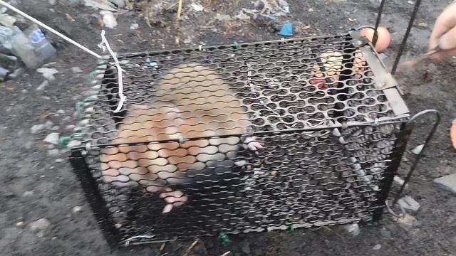 Выпуск боевого  карбыша