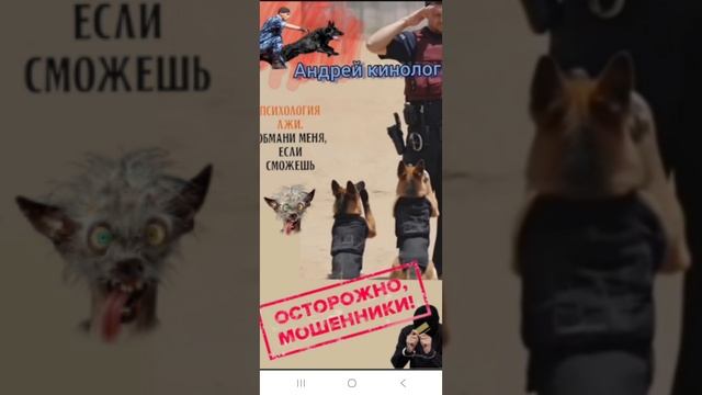 Специалисты и продлеватели . смотреть онлайн