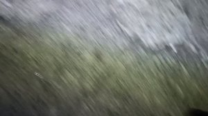 Рыбалка на Амуре в Хабаровске 11 08 2025/DG_KHAGAY