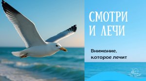 ч.141Секрет, который у нас перед глазами. Оазис  Бутейко