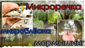 Микроречка. Пробую микроблёсны и Мормышинг.