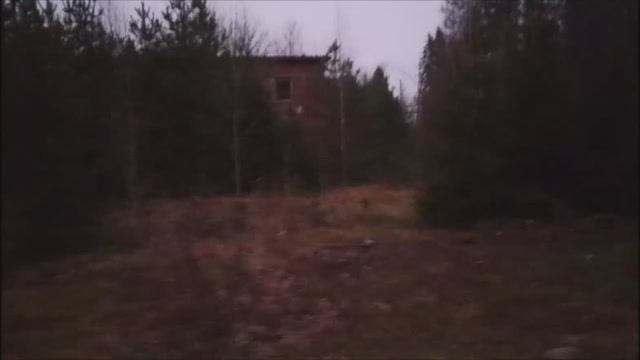 Россия Санкт-Петербург Бобочино южный берег озера Полянское(др.назв.Церковное)8 ноября лета2024/7533