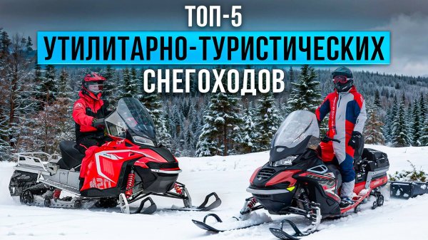 Лучшие утилитарно-туристические снегоходы. Какой снегоход выбрать в 2025 году?