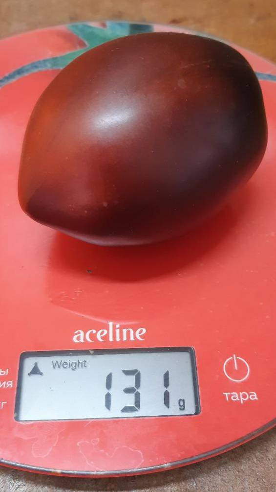 ТОМАТ ПАСКАЛЬ ИЗ ПИКАРДИИ - ОБЗОР СОРТА смотреть онлайн