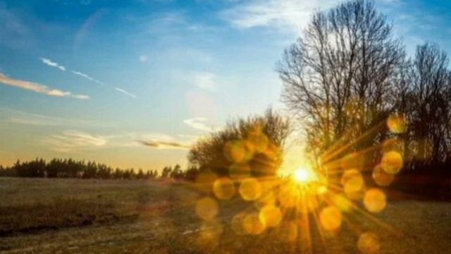 Бабочки, блюдце, розы, песня смотреть онлайн