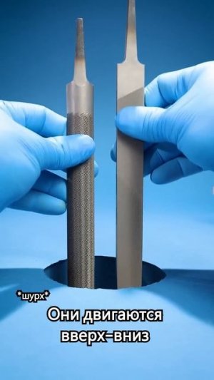 Как работает укус мухи? #shorts