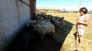 У Натальи Григорьевны с утра перестановка! Требуется помощь!