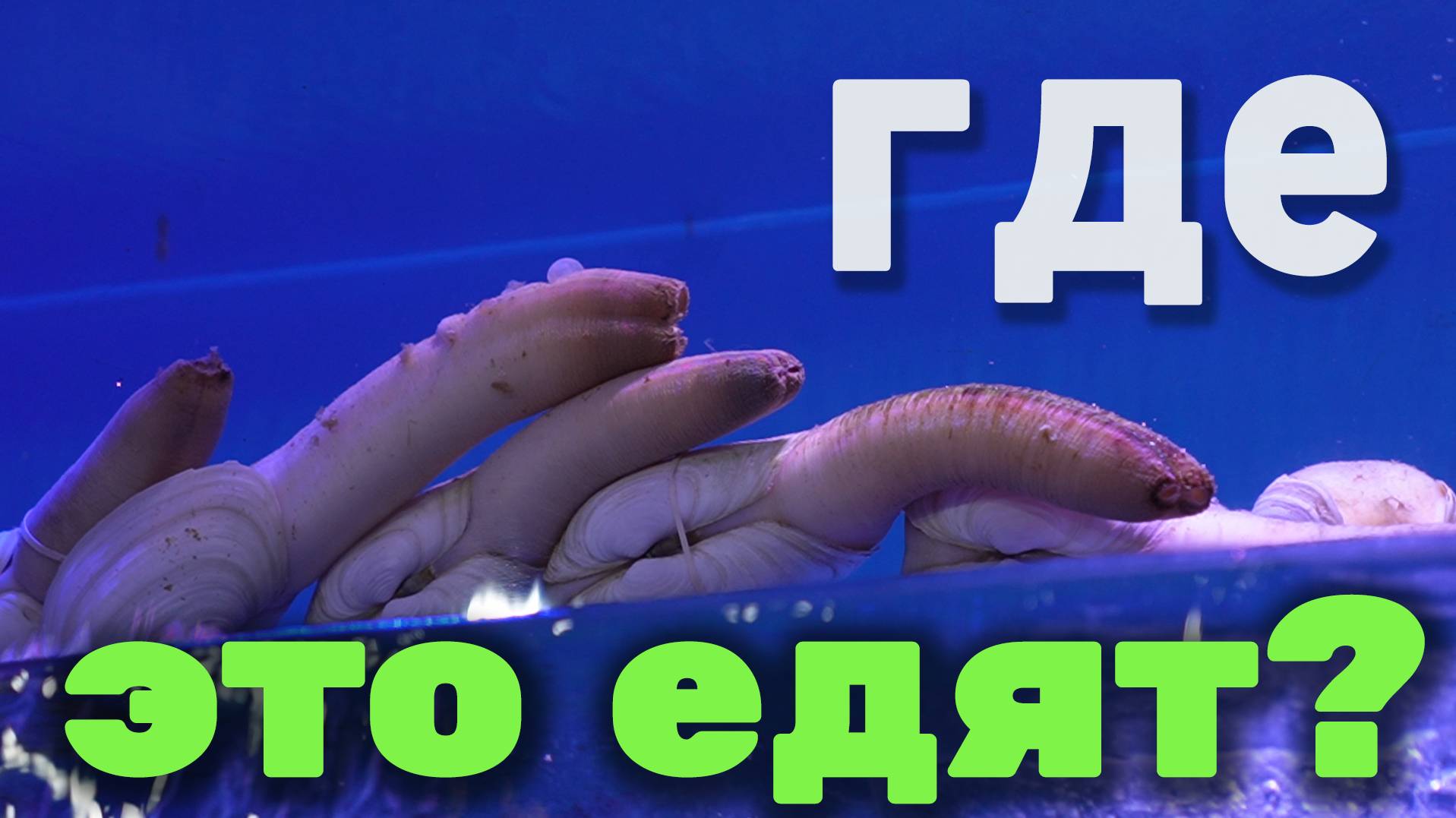 Попробовали вьетнамскую еду и настойку #travel #danang #vietnam #русскиевовьетнаме