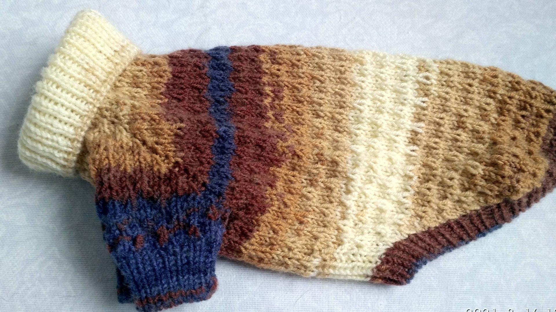 Вяжем свитер для маленькой собачки смотреть онлайн