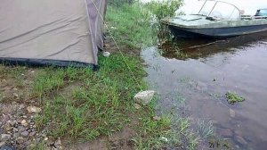 Большой подъём воды. Поймали таймешат.