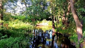 Природа нашего края уникальна!