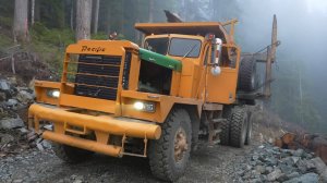 Крутые лесорубы!