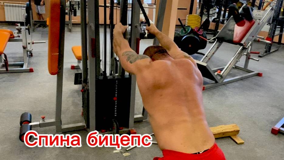 Курс на массу тест+дека +дигидроболденон!!!подготовка с тренером день  82