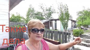 Ситуация изменилась...Макеевка ДНР Россия , что посеяли то и ....