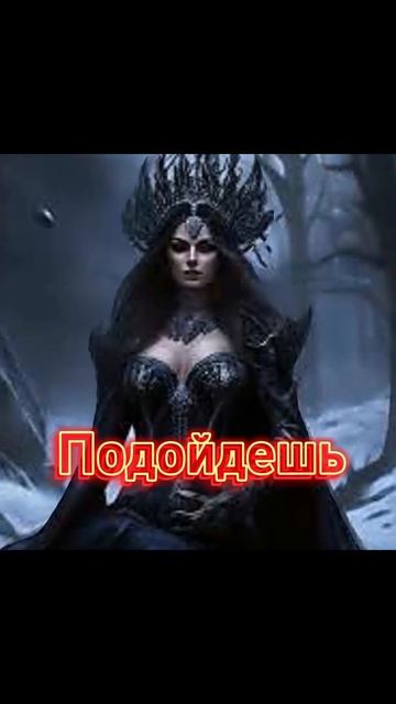Белый волк и Черный волк смотреть онлайн