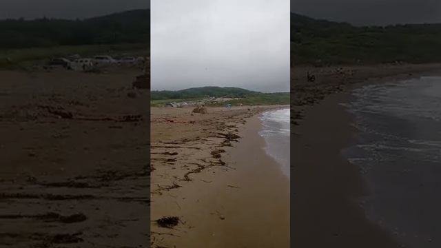 Шум волн для сна,ветер,релакс. бухта Щитовая Владивосток 13.08.25