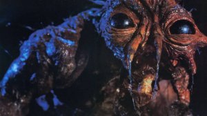 Муха (краткий пересказ фильма. Краткий Капитан)