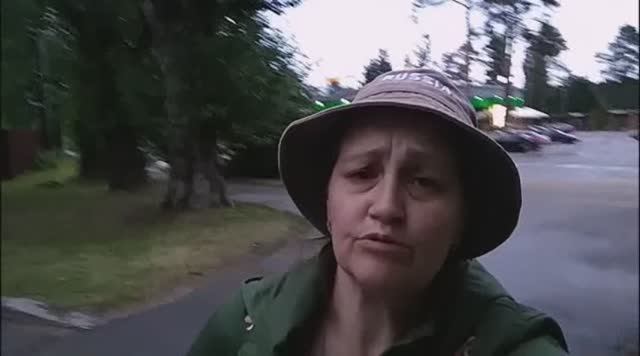 Россия Санкт-Петербург Бобочино Поляны Северное Побережье Финского Залива 04 июля лета 2024/7533