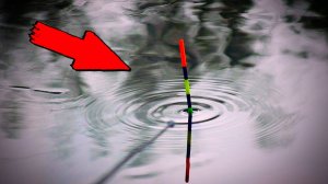 МАЛАЯ РЕЧКА ШОКИРУЕТ! Закинул Под Берег и ОНО ВЫШЛО! Рыбалка 2025