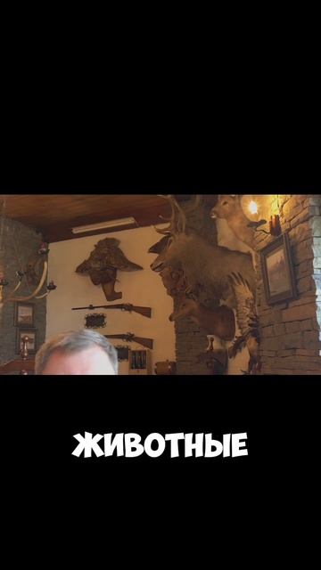 12. КАЗАХСТАН АЛМАТЫ 🇰🇿 ГОРЫ ЧИМБУЛАК 🏔️ БАНИ РЕСТОРАНЫ ЛУЧШИЕ МЕСТА И ЛЮДИ смотреть онлайн