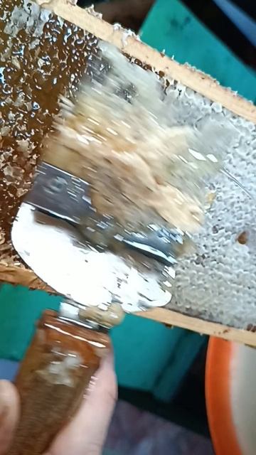 Снимаю забрус смотреть онлайн