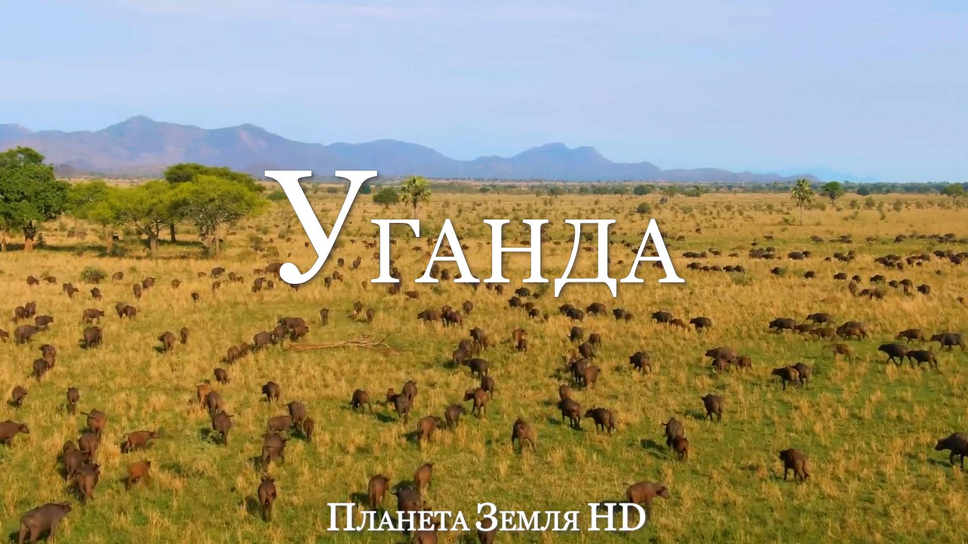 Уганда HD - Живописный фильм-релаксация с Африканской Музыкой смотреть онлайн