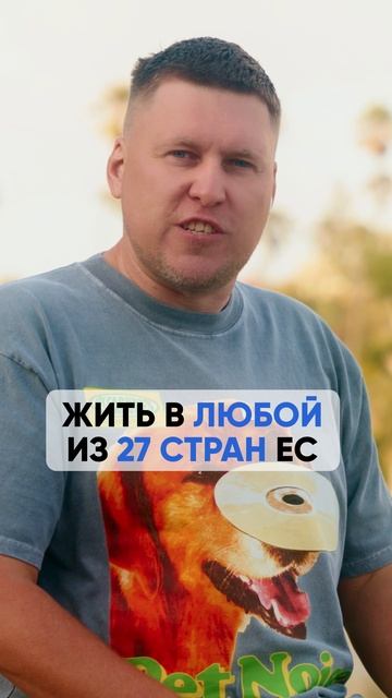 International Business - иммиграция от А до Я