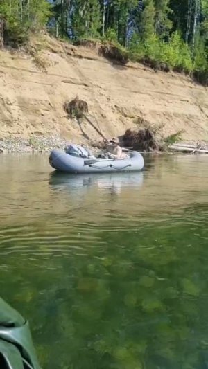 Поклёвка хариуса. Река енисей.