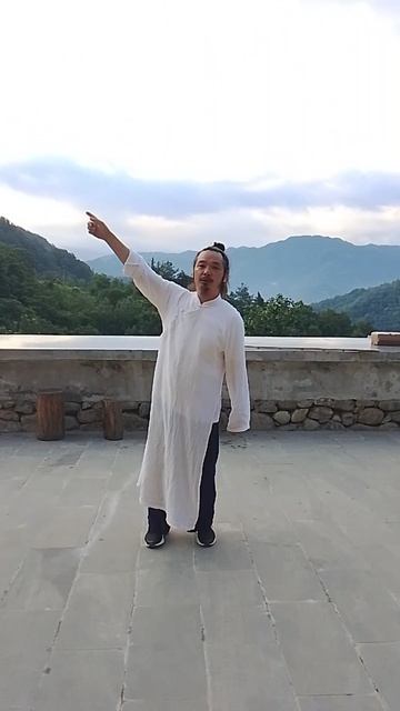 Я покажу вам истинный Тайцзицюань Удан Санфэн на вершине горы Удан-идём вместе заниматься:Chen Shiyu