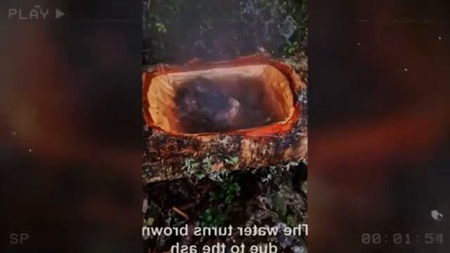 Гениальный_способ_очистки_воды Как_в_Средние_века_делали_воду_чище   Пленка на фильтре Снежинка.