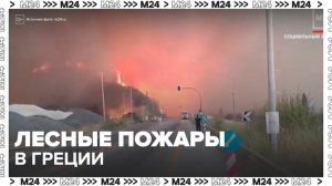Новости мира: в Греции лесные пожары достигли города Патры - Москва 24