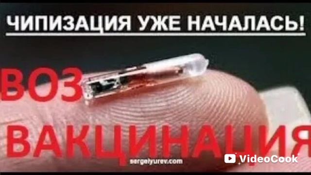 Чепирование уже начинается в 2026 году в апреле