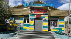 Один день с библиотекой