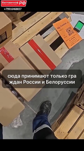 Работа вахтой ВКУСВИЛЛ | 3500₽ | с питанием