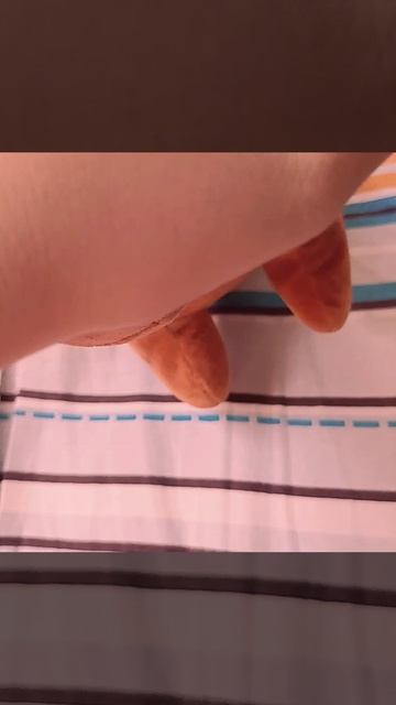 гладим капибара или...