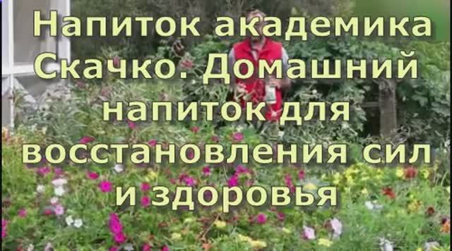 Напиток академика Скачко. Домашний напиток для восстановления сил и здоровья