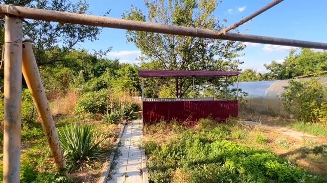 Copy_C2BBF29E-E3EB-40B9-ADBE-93F37D707383