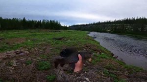 РЫБОЛОВНАЯ СКАЗКА И ЭКСТРИМ НА РЫБАЛКЕ. Часть 4.