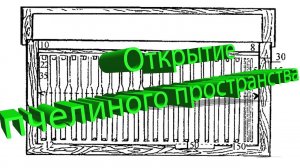 Профессор Кашковский: Открытие пчелиного пространства – революция в пчеловодстве!