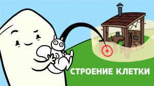 Эпизод 6 Строение клеток – прокариоты и эукариоты