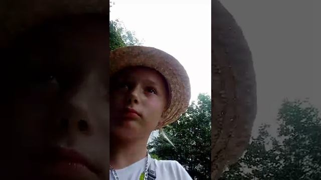 т смотреть онлайн