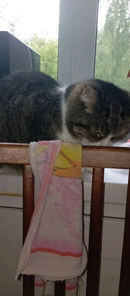 roblox 99 ночей играю с подписчиками смотреть онлайн