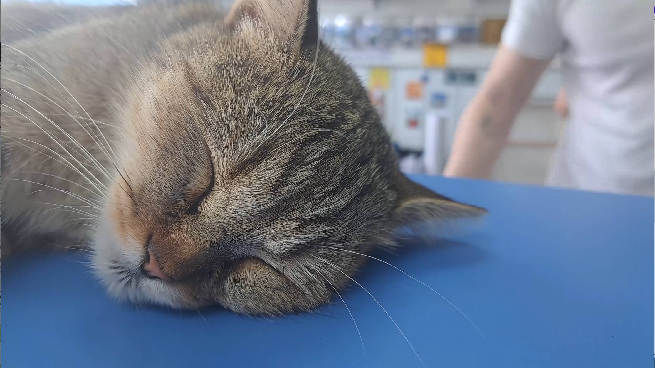 Магазинчик в Моршанске смотреть онлайн