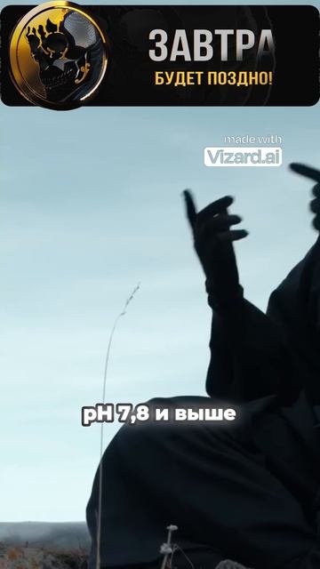 Анжи Львовский